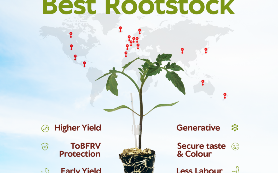 Choose the Best Rootstock for your Crop